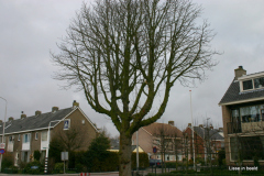 16-246_4622