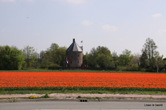 01-IMG_0868