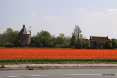02-IMG_0869