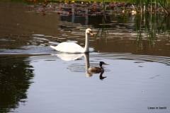 05-IMG_0882