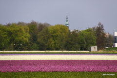 08-IMG_0901