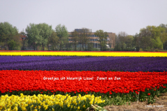 43-IMG_1024