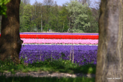 46-IMG_1041