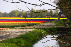 52-IMG_1057
