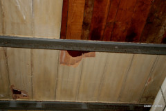 36-IMG_1511
