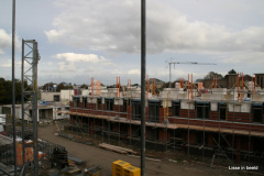 60-IMG_1536