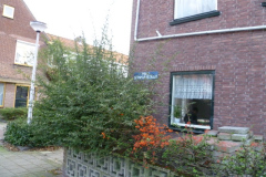 P1020221
