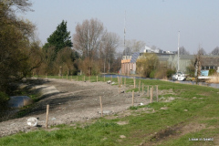 10-IMG_5895