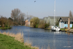 19-IMG_5906