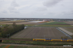 08-DSC08194