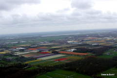 18-DSC08214