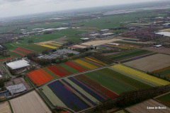 21-DSC08219