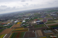22-DSC08225