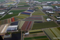 23-DSC08228
