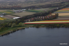 31-DSC08251