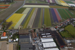 41-DSC08309