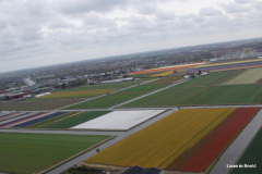 44-DSC08316