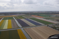 46-DSC08320