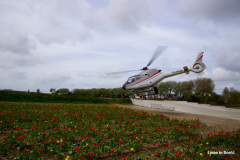48-DSC08340