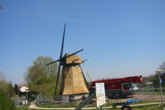48_IMG_3542