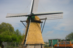 49_mol_13