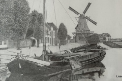 51-51-IMG_1704