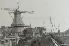 58-IMG_3145