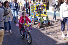DSC09239