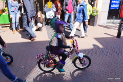 DSC09253