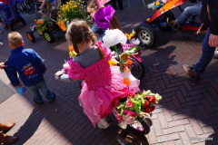 DSC09315