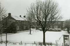 Anemonenstraat