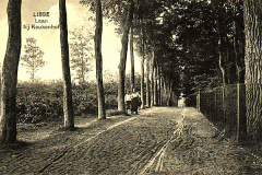 Keukenhof