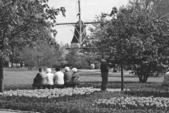 Keukenhof