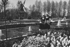 Keukenhof