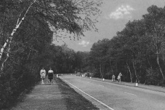 Lyndenweg