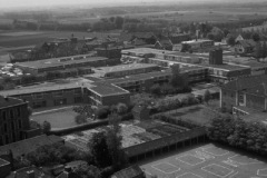 Lisse van boven