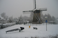 molen-2