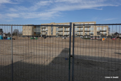 06-3-DSC00004