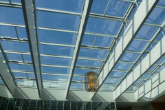 05_P1050090