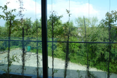 31_P1050128