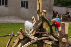 16_DSC07414