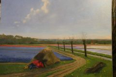 tulip_05