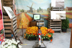 tulip_07