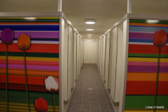 DSC08161