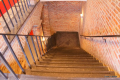 37_DSC05718