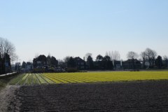 12-IMG_0079
