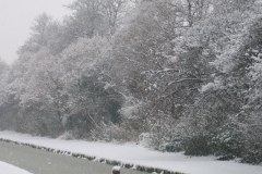 60-241_4125