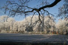 winter-in-lisse1