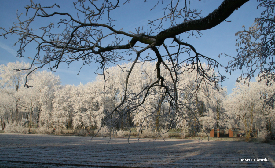 Winter in Lisse