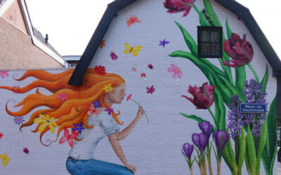 Muurkunst in de Meer en Houtstraat